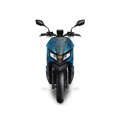 Product info: EZ-R 故宮百年龍藏經特仕版